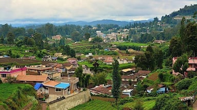En route to Kotagiri from Coonoor...some breathtaking landscapes all along the way.