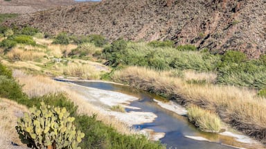 The amazing landscape of the Big Bend Ranch State Park and the Rio Grande River, Texas