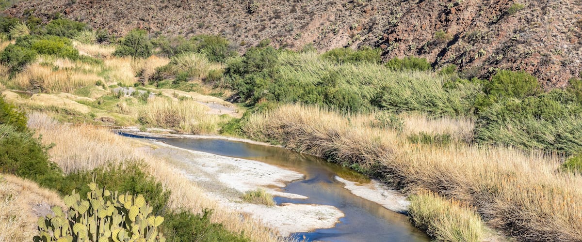 A river winding through a desert landscape with sparse vegetation and rocky hills in the background.