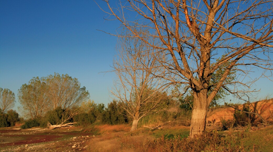 Laguna de Lor (Navarra).