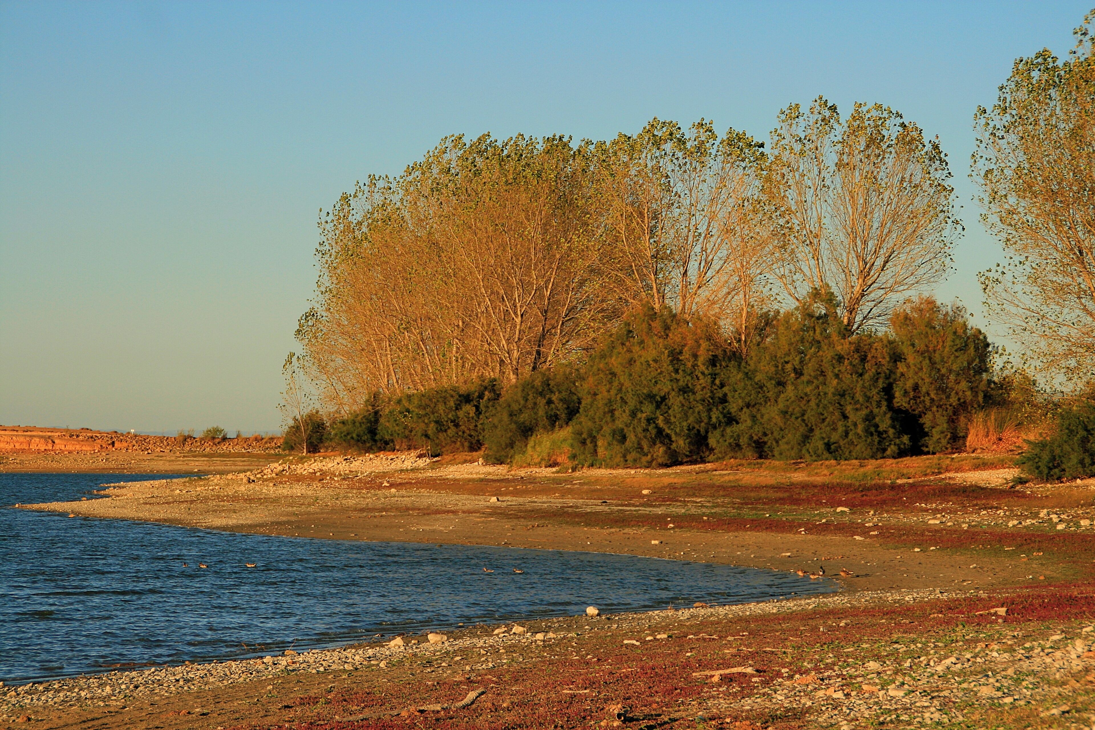 Laguna de Lor (Navarra). La laguna de Lor es un pequeño embalse natural recrecido artificialmente con una superficie de 18,5 hectáreas. El principal uso histórico que ha tenido ha sido el riego. Además, esta laguna es hoy un coto de pesca. En el valle del Queiles hay varias balsas que recogen las aguas procedentes del Moncayo, con el fin de regar las tierras del entorno. Una de las más antiguas e importantes desde el punto de vista ambiental es Lor. Esta balsa recibe el nombre de un antiguo pueblo desaparecido en el siglo XVII. Los documentos más antiguos que hablan del poblado y la balsa se refieren a la conquista de esta zona por Alfonso el Batallador (siglo XII). Antes había estado en poder de los árabes. En la época medieval, fue una posesión de doña Urraca Gil, señora de Ablitas. También perteneció al Monasterio de Veruela, al rey Sancho el Fuerte, y a la orden de San Juan de Jerusalén. Cuando desapareció como pueblo, el término pasó a depender administrativamente del municipio de Cascante, aunque la balsa es de titularidad privada.
 Hasta los años sesenta se conservó una construcción de piedra donde se regulaban las aguas del embalse, que puede albergar hasta un millón setecientos cincuenta metros cúbicos, que se utilizan para regar fincas de Tudela, y de Ablitas. Aunque es una laguna de riego, hay unos derechos de pesca muy antiguos, que imponen la obligación de dejar al menos siete cuartas (1,45 metros) de agua en el vaso.