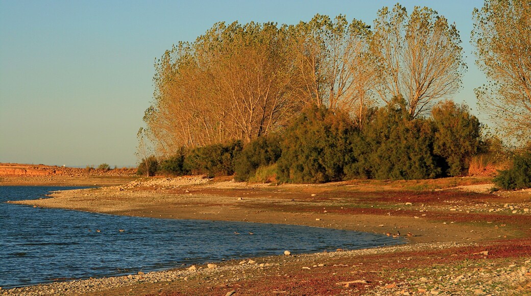 Laguna de Lor (Navarra). La laguna de Lor es un pequeño embalse natural recrecido artificialmente con una superficie de 18,5 hectáreas. El principal uso histórico que ha tenido ha sido el riego. Además, esta laguna es hoy un coto de pesca. En el valle del Queiles hay varias balsas que recogen las aguas procedentes del Moncayo, con el fin de regar las tierras del entorno. Una de las más antiguas e importantes desde el punto de vista ambiental es Lor. Esta balsa recibe el nombre de un antiguo pueblo desaparecido en el siglo XVII. Los documentos más antiguos que hablan del poblado y la balsa se refieren a la conquista de esta zona por Alfonso el Batallador (siglo XII). Antes había estado en poder de los árabes. En la época medieval, fue una posesión de doña Urraca Gil, señora de Ablitas. También perteneció al Monasterio de Veruela, al rey Sancho el Fuerte, y a la orden de San Juan de Jerusalén. Cuando desapareció como pueblo, el término pasó a depender administrativamente del municipio de Cascante, aunque la balsa es de titularidad privada.
Hasta los años sesenta se conservó una construcción de piedra donde se regulaban las aguas del embalse, que puede albergar hasta un millón setecientos cincuenta metros cúbicos, que se utilizan para regar fincas de Tudela, y de Ablitas. Aunque es una laguna de riego, hay unos derechos de pesca muy antiguos, que imponen la obligación de dejar al menos siete cuartas (1,45 metros) de agua en el vaso.