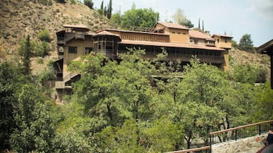 The settlement of Kakopetria is constructed along the valley of the Kargotis and Garillis rivers. The old Kakopetria is built west of the valley and between the two rivers. The roofs of the houses are sloped and tiled and almost all of the houses have an upper floor and a wooden balcony.