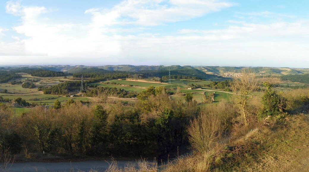 Santuari del Tallat, panorama en direcció nord-oest, sobre l'Urgell