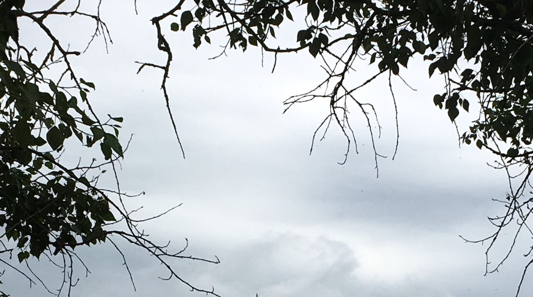 Fabulous discovery inside