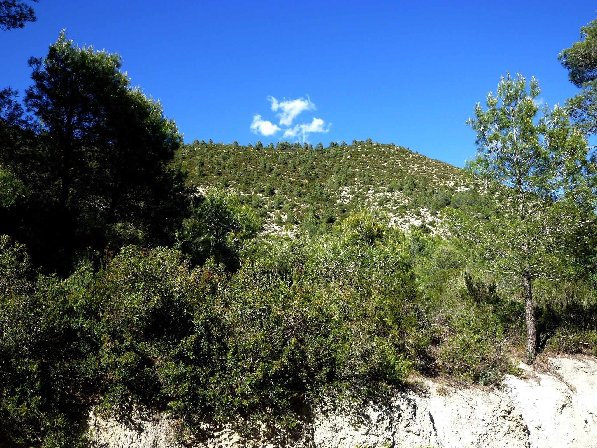 This is a a photo of a natural area in Catalonia, Spain, with id: