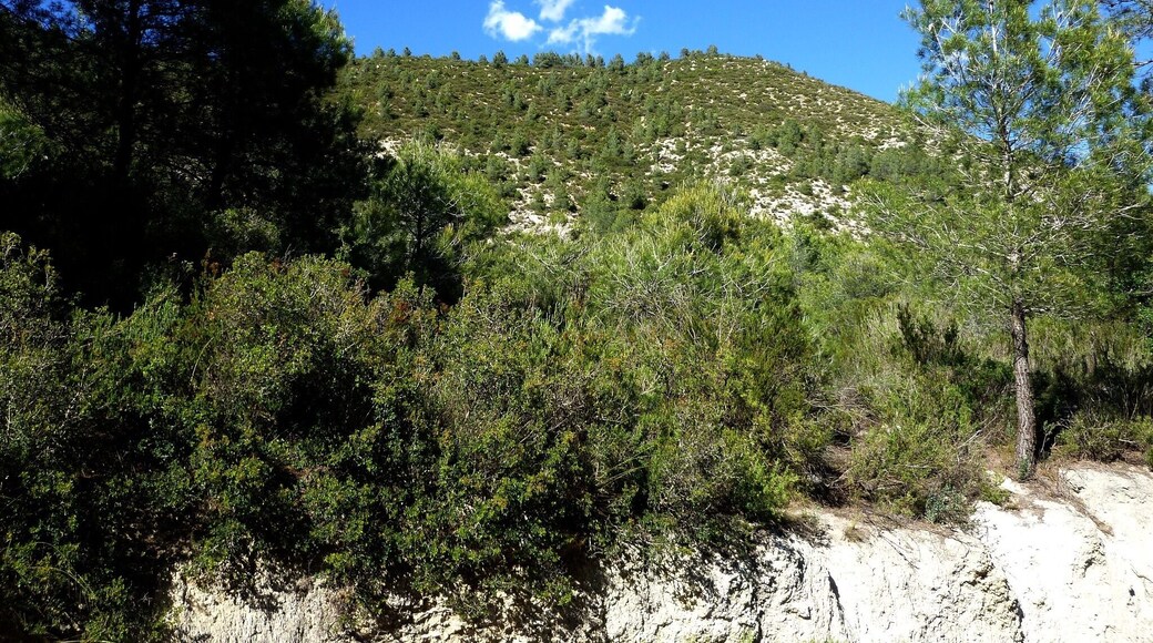 This is a a photo of a natural area in Catalonia, Spain, with id: