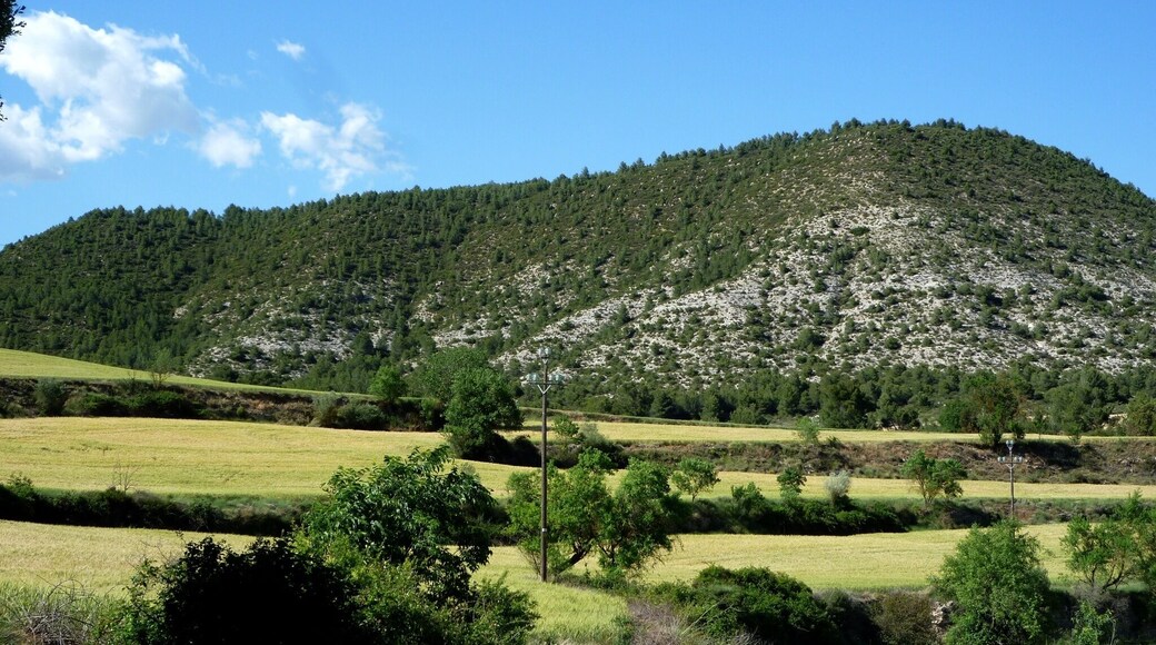 This is a a photo of a natural area in Catalonia, Spain, with id: