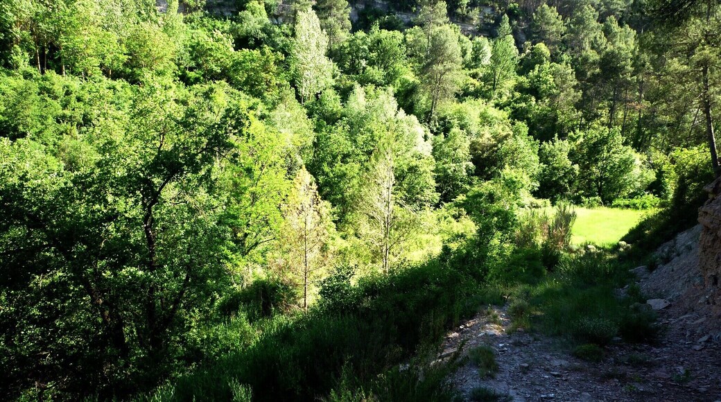 This is a a photo of a natural area in Catalonia, Spain, with id: