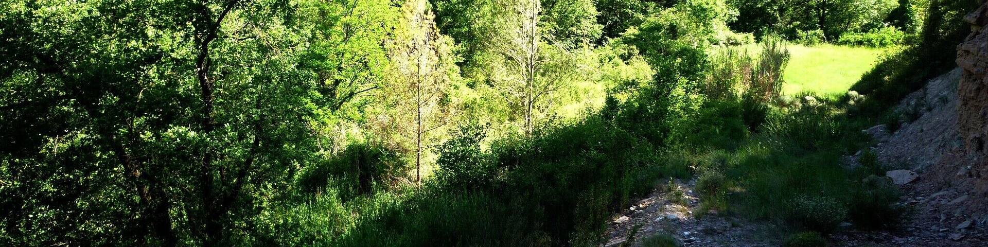 This is a a photo of a natural area in Catalonia, Spain, with id: