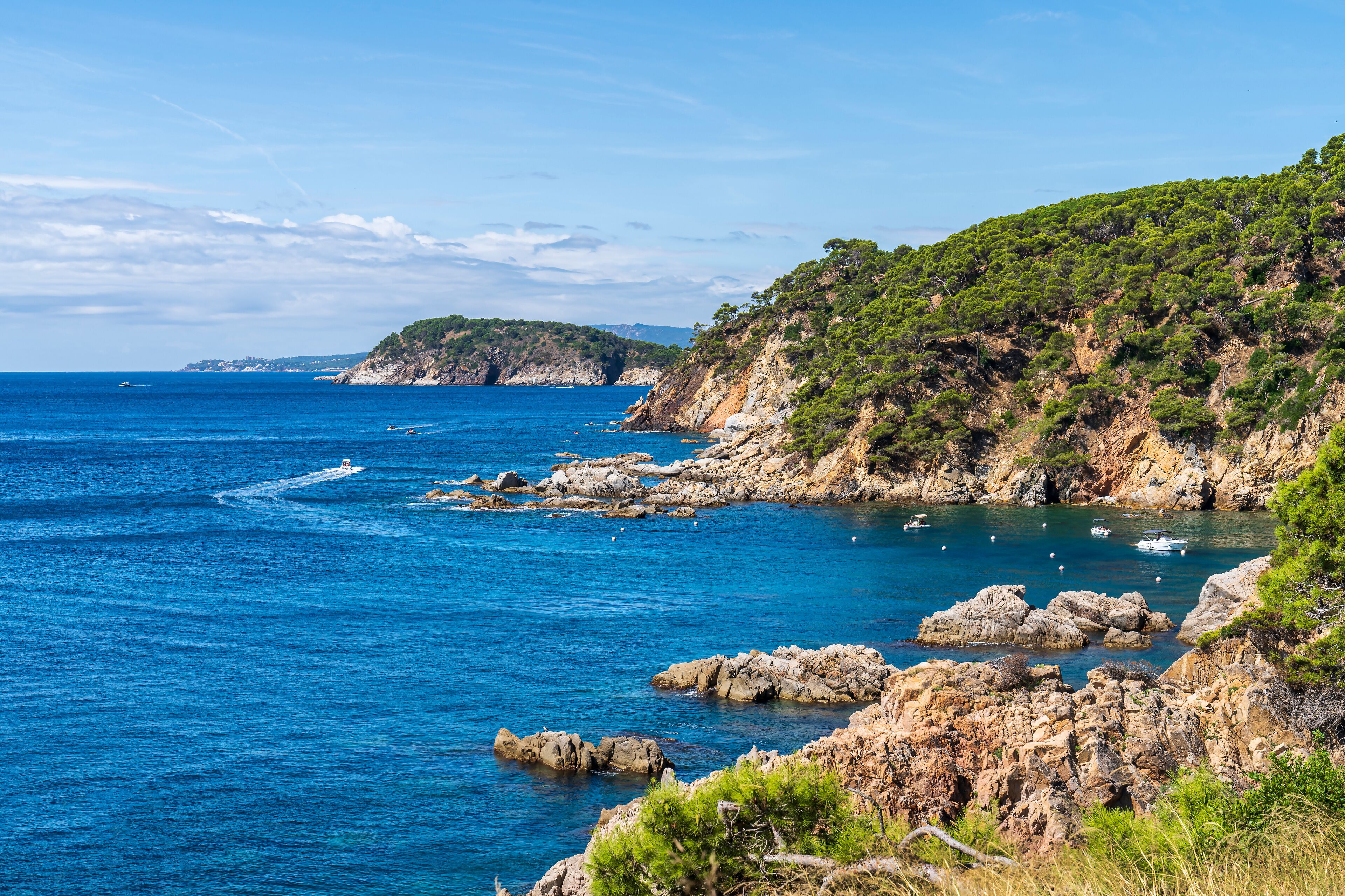 Views of "de la Senia" cove in Calella de Palafrugell with boats.