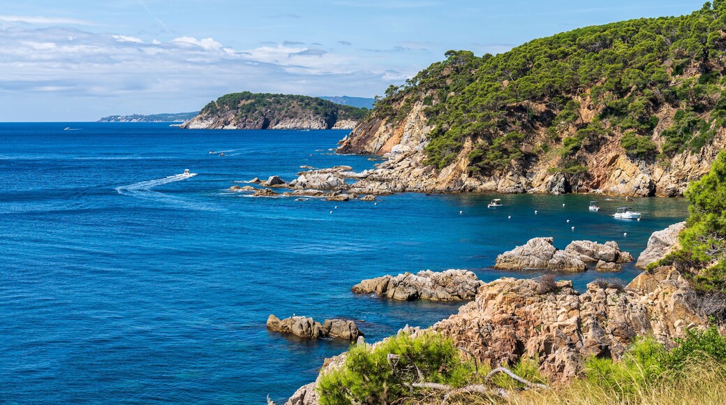 Views of "de la Senia" cove in Calella de Palafrugell with boats.