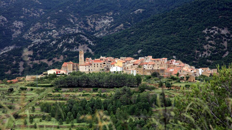 A hillside village with terraced fields, a prominent tower, and dense forested mountains in the background.
