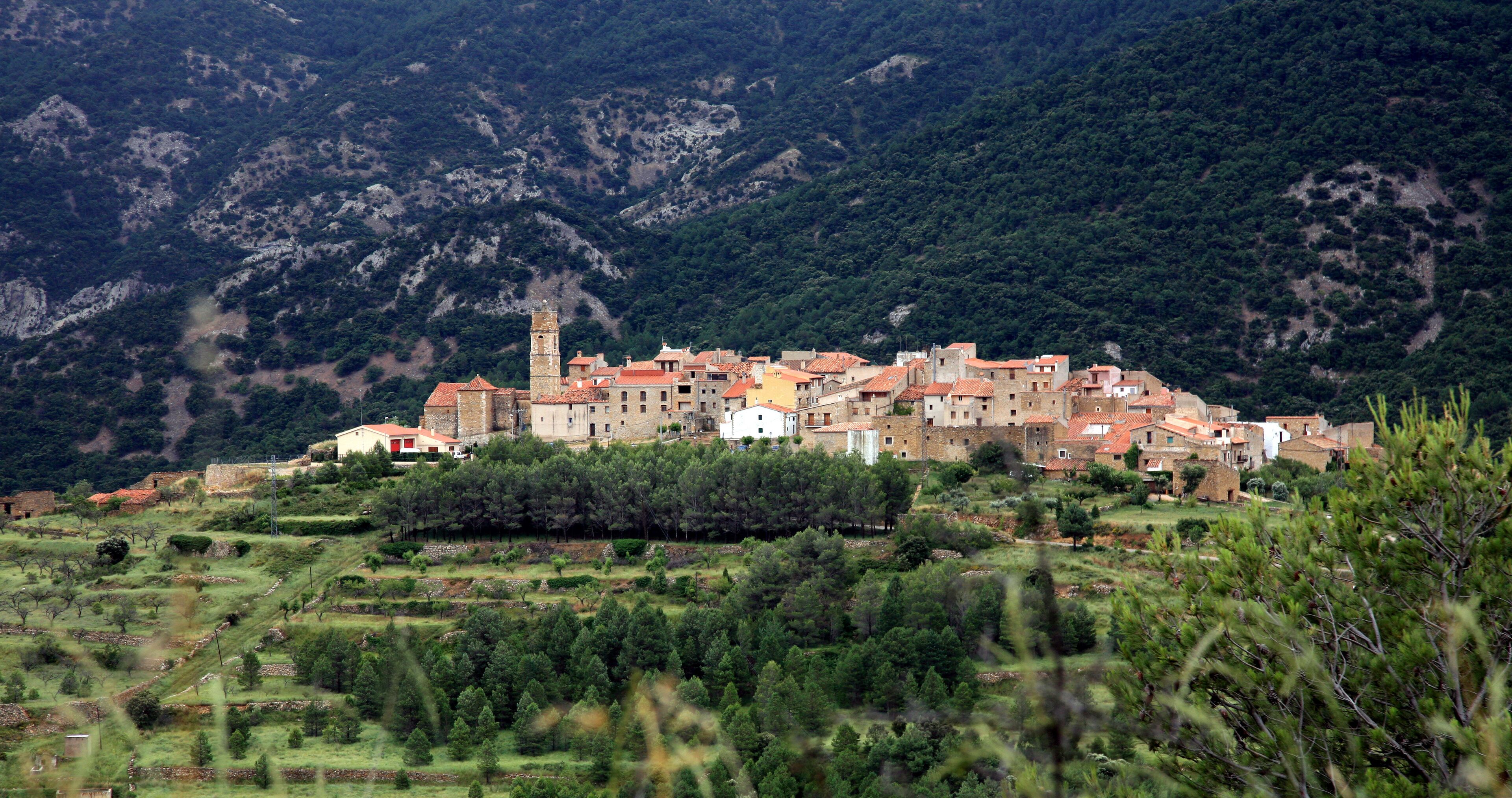 A hillside village with terraced fields, a prominent tower, and dense forested mountains in the background.