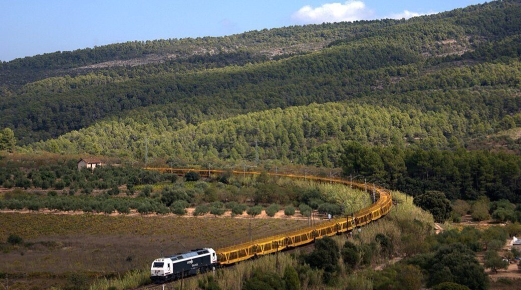 El segon tren que vàrem tenir en la corba de Capçanes va ser aquest, el portacotxes Tarragona-Viatgers – Grisén a càrrec de la 333.368. El segundo tren que tuvimos en la curva de Capçanes fué este, el portacoches Tarragona-Viajeros – Grisén a cargo de la 333.368.