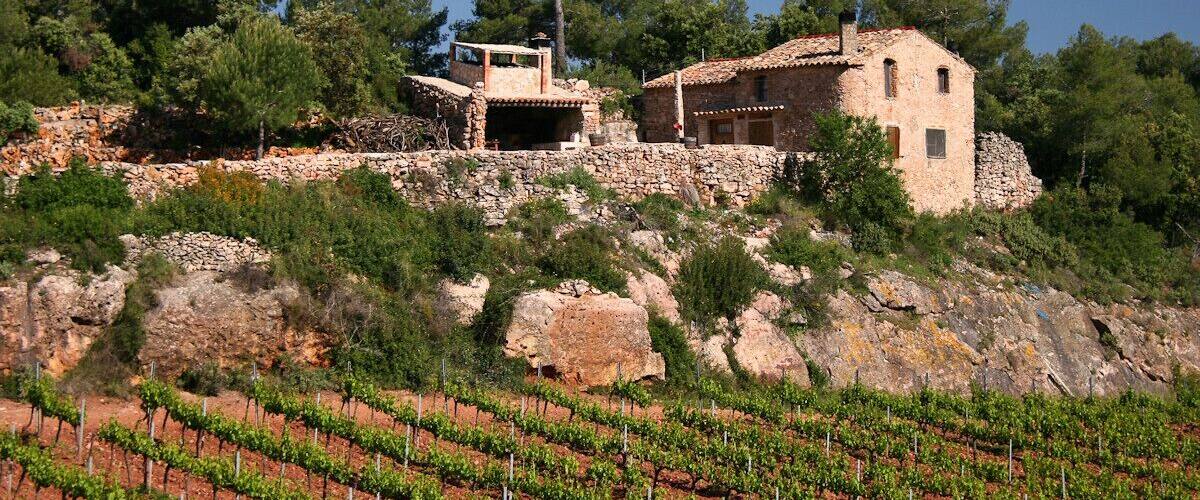 A stone house on a hillside with vineyards in the foreground.