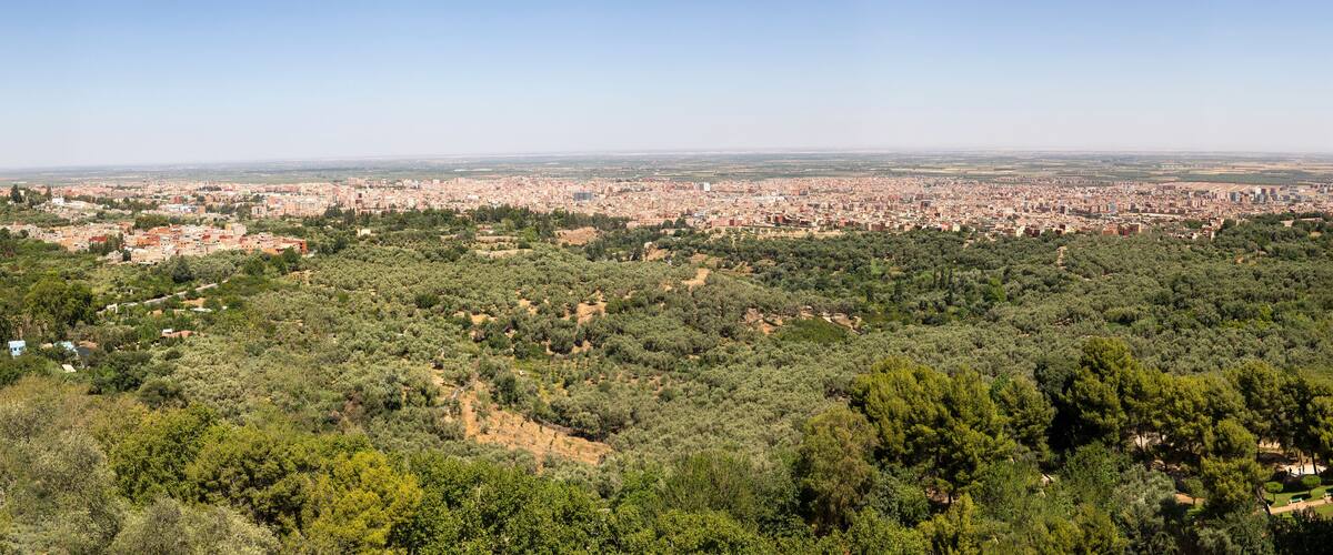 A cityscape with a dense urban area in the background and a lush green landscape in the foreground.