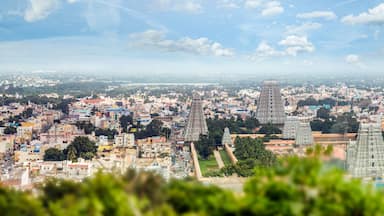Arunachala, Tiruvannamalai, Tamil Nadu in India, January 30, 2018: Tiruvannamalai, India View of Annamalaiyar Temple