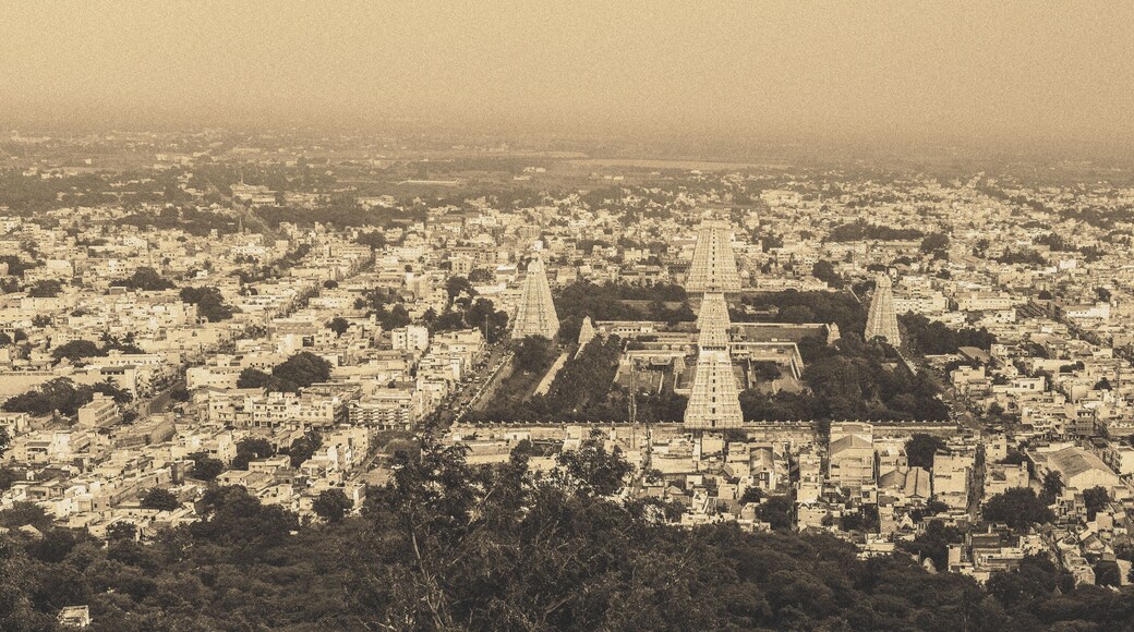 Tiruvannamalai