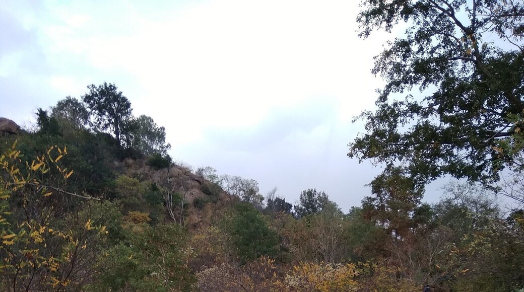 Mountain trail to Virupaksha cave, Skandashram and Mountain of Fire