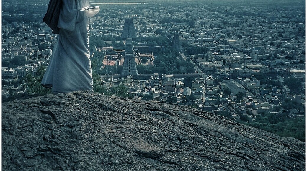 Sri ramana maharshi ashram is a calm spiritual place to find your inner peace.
They offer free stay and food for few days .
You have to contact them via mail.
Enchanting view from Arunachala mountain.
When you climb up to the meditation cave you can sit together with the monkeys as Sri Ramana Maharashi did it once