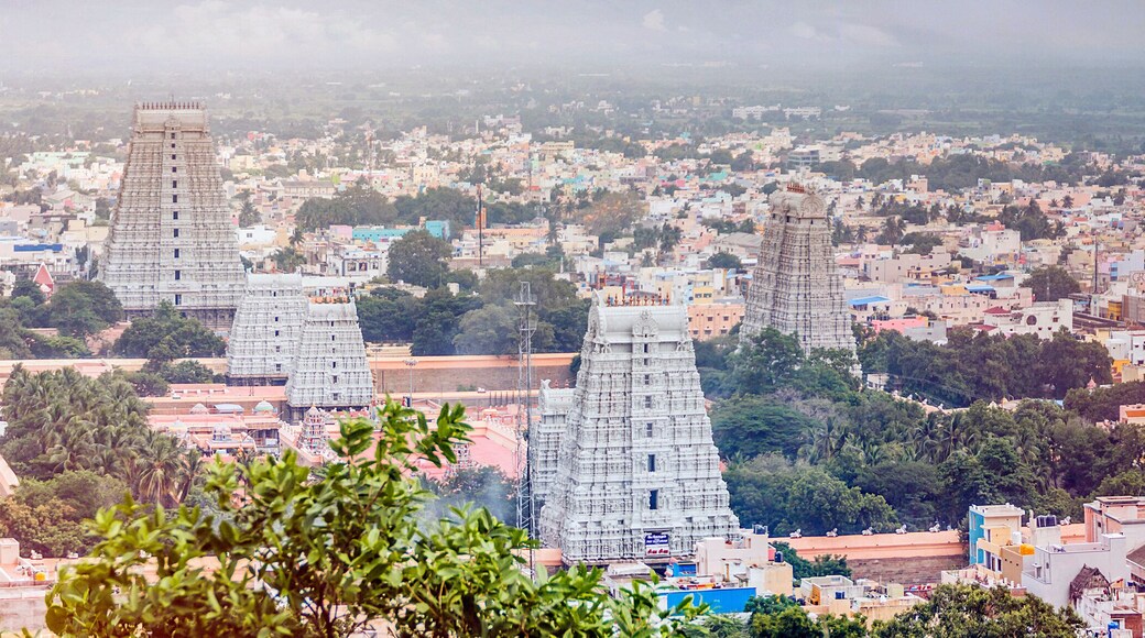 Tiruvannamalai