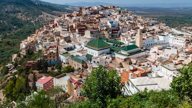 Uma cidade densamente povoada com uma mesquita imponente, rodeada por colinas e vegetação.