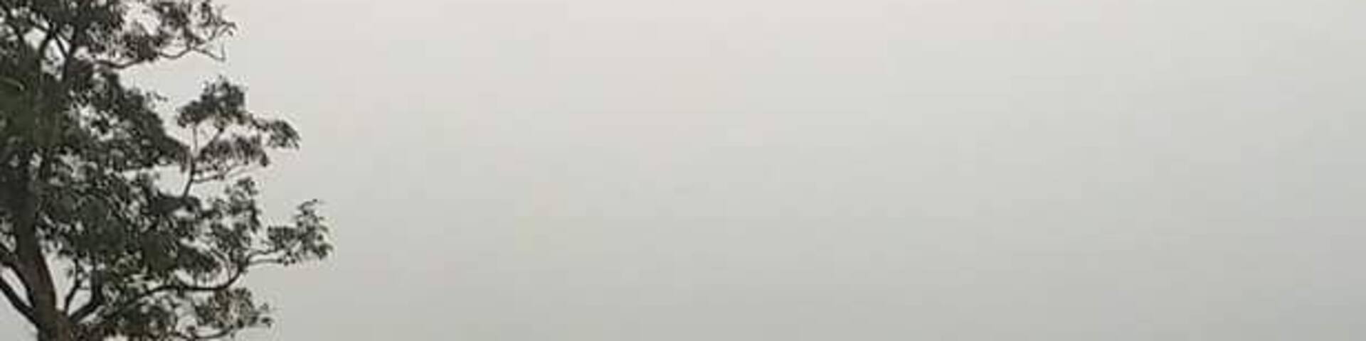 Tea plantation near Vagamon / Kerala /India