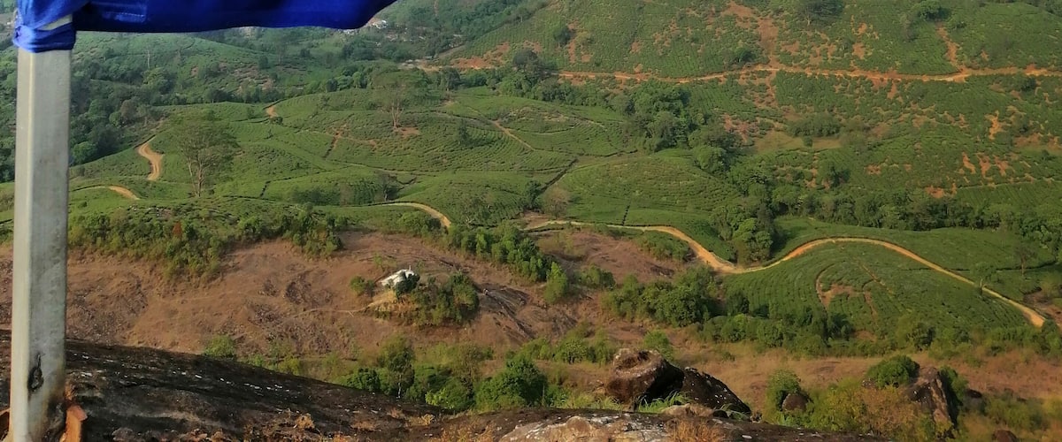 A blue flag on a pole with a view of a hilly landscape in the background.