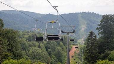 Cable car, Kocaeli, Kartepe, Turkey - June 12, 2021 :Kartepe Cable Car has become the symbol of Kartepe, the cable car belonging to Kartepe ski resort offers a wonderful view of nature