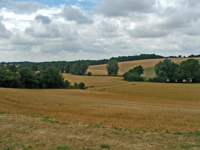 Farmland near Kettle Green. Looking North north west from the road to Kettle Green