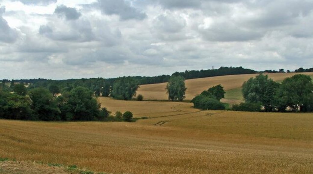 Farmland near Kettle Green. Looking North north west from the road to Kettle Green