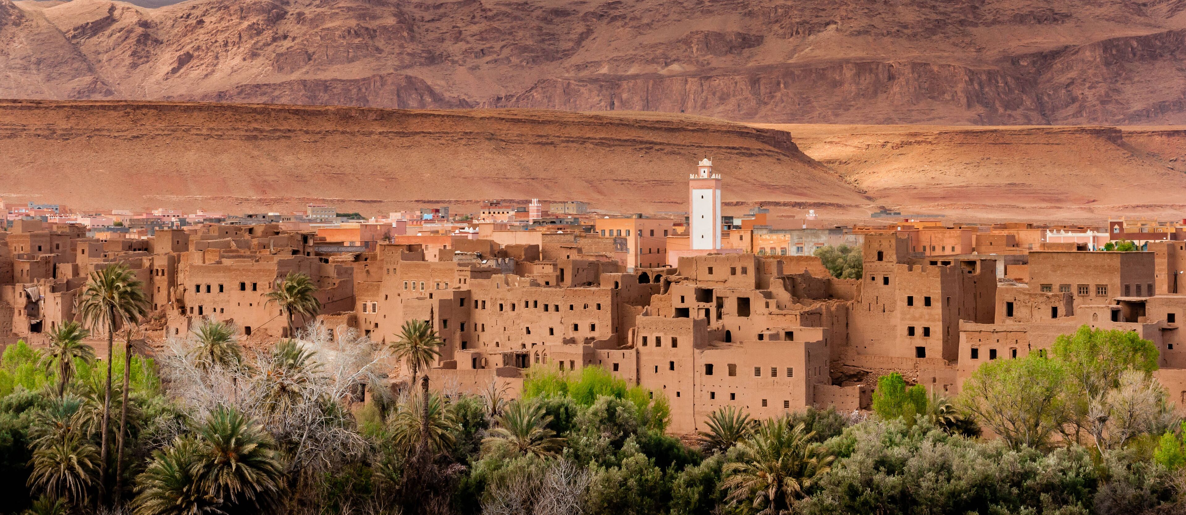 A desert town with traditional mud-brick buildings and a prominent white minaret.