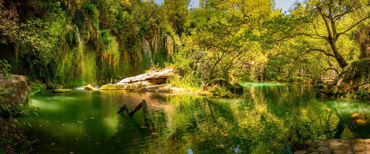 A serene forested river with clear water, moss-covered rocks, and dense greenery.
