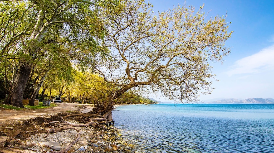 Dilek Peninsula National Park in Kusadasi Town of Turkey.