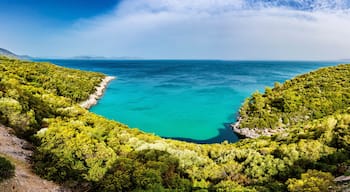A turquoise sea surrounded by dense green forest and rocky coastline.
