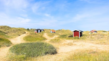 Am Strand von Mellby, Schweden