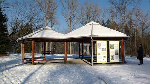Informationspavillon im Weltwald