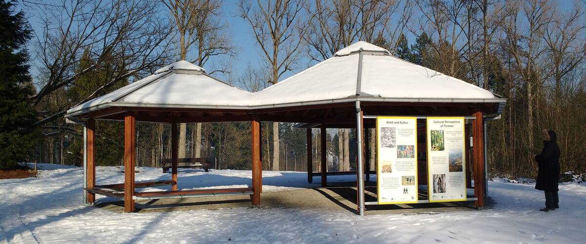 A snow-covered gazebo with informational signs in a forested area.