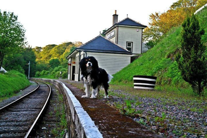 Keith old railway station which runs steam train to Dufftown