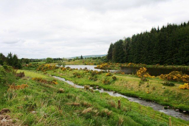 A river winding through a grassy landscape with a forest in the background.