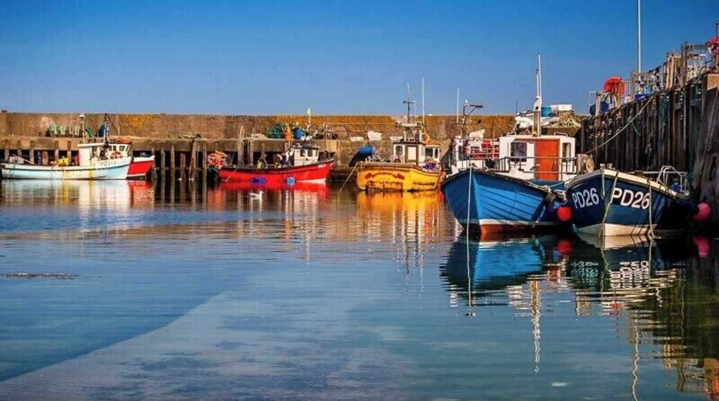 A small, but busy, fishing port just south of Peterhead, Scotland. Plenty of opportunity for some nautical photography.
#BVSBlue