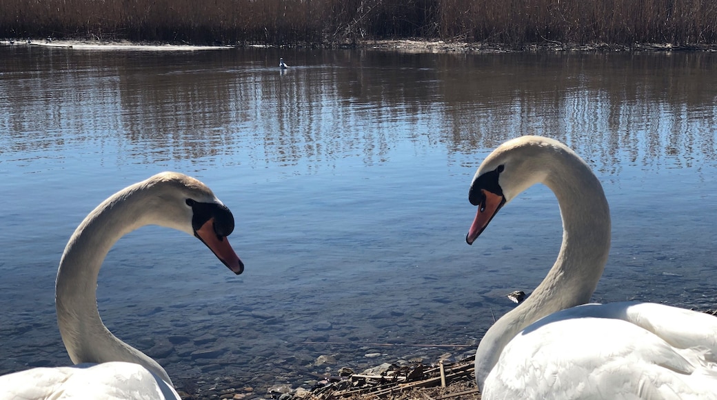 Wild life love in Macedonia #LifeAtExpedia