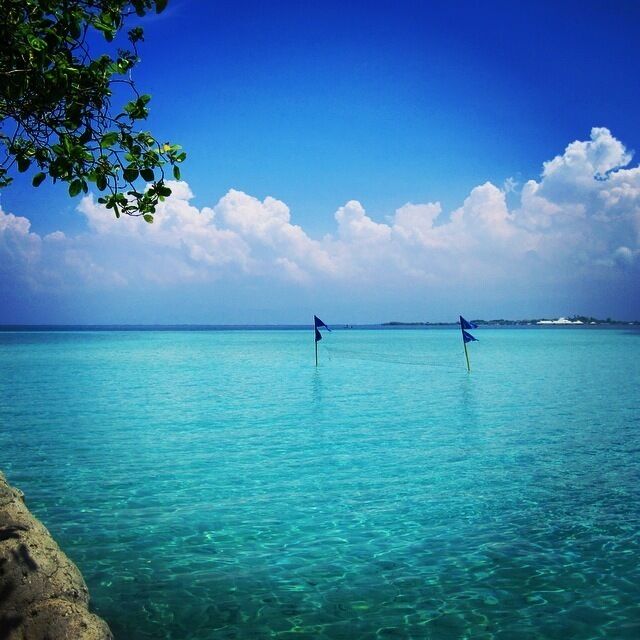 This island resort can be found in cebu (just a few kilometers from the airport) and is very accessible by boat. There are a lot of island hopping boat rent ranging from 1500-4500 phil peso depending on the boat size. Activities: snorkeling, scuba diving, beach volleyball during low tide, visit several islands in one day, or stay here overnight. 
(Photo taken by my friend Cha during our day tour in the island)