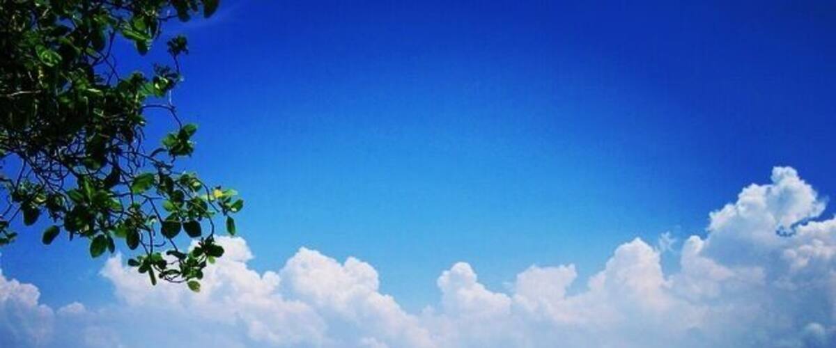 This island resort can be found in cebu (just a few kilometers from the airport) and is very accessible by boat. There are a lot of island hopping boat rent ranging from 1500-4500 phil peso depending on the boat size. Activities: snorkeling, scuba diving, beach volleyball during low tide, visit several islands in one day, or stay here overnight.
(Photo taken by my friend Cha during our day tour in the island)