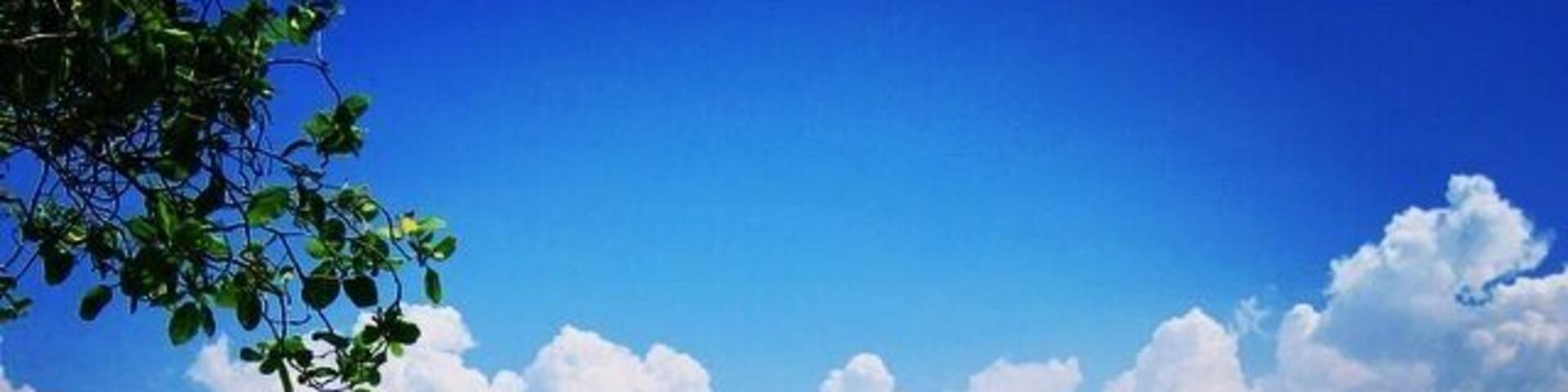 This island resort can be found in cebu (just a few kilometers from the airport) and is very accessible by boat. There are a lot of island hopping boat rent ranging from 1500-4500 phil peso depending on the boat size. Activities: snorkeling, scuba diving, beach volleyball during low tide, visit several islands in one day, or stay here overnight.
(Photo taken by my friend Cha during our day tour in the island)