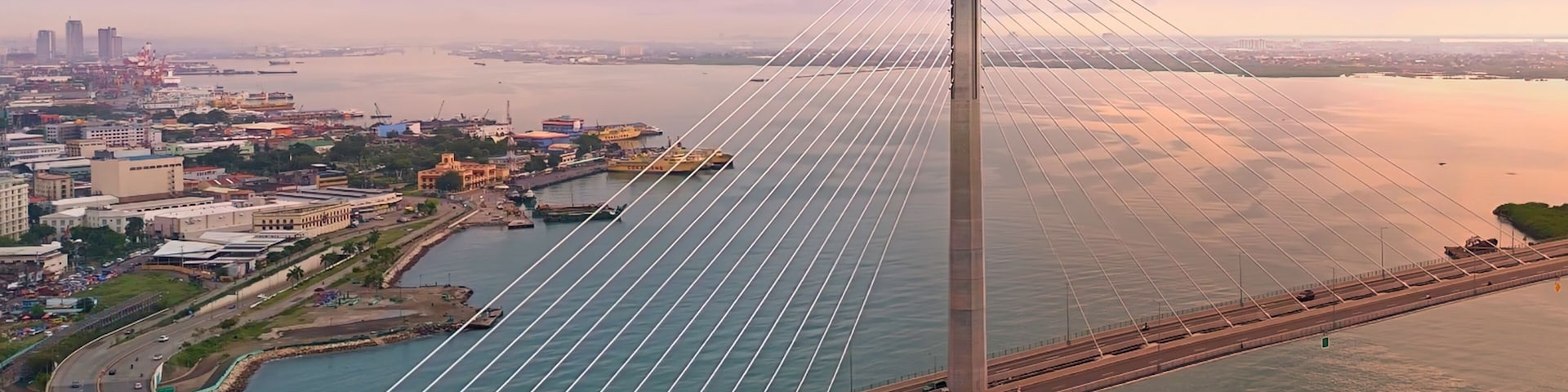 A cable-stayed bridge with a cityscape in the background.