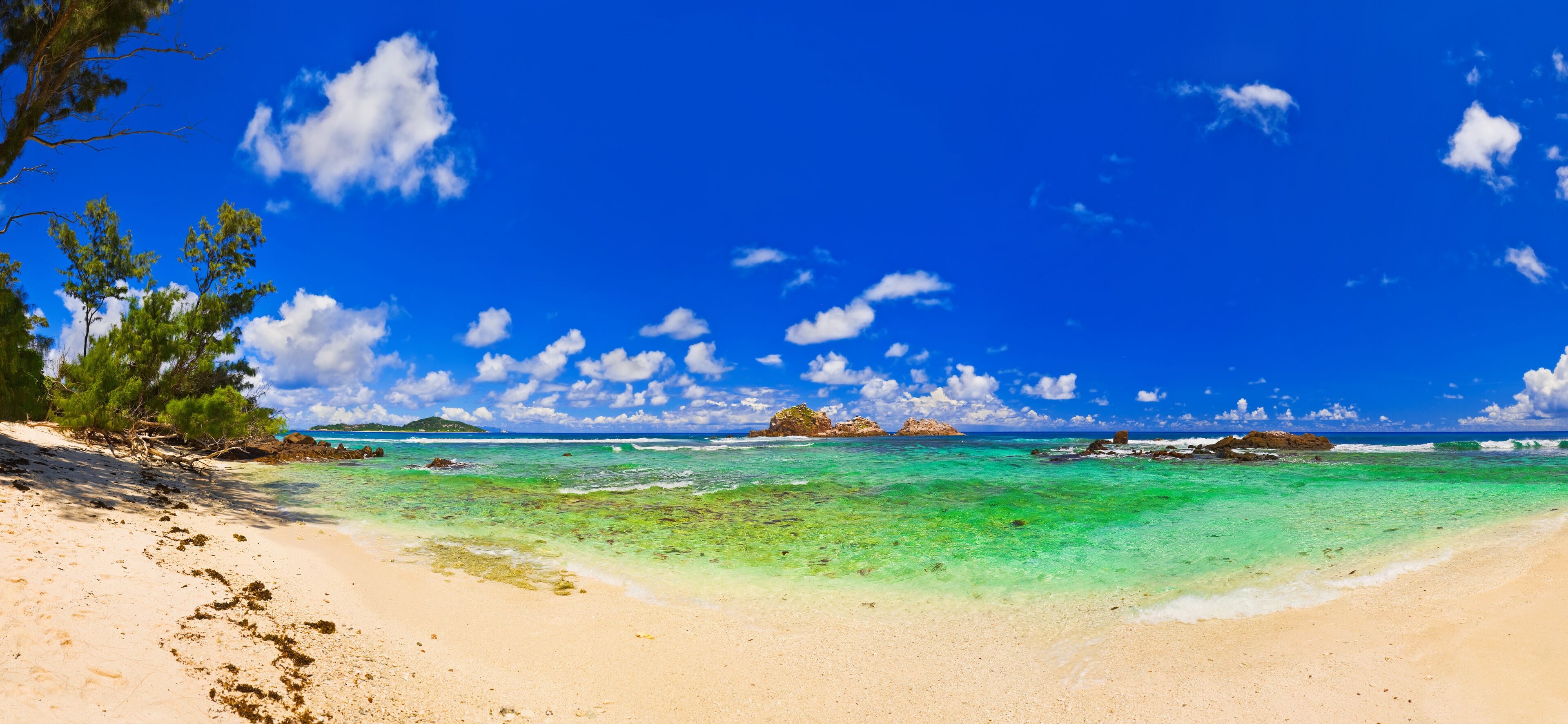 A beach with clear turquoise water, sandy shore, and scattered trees.