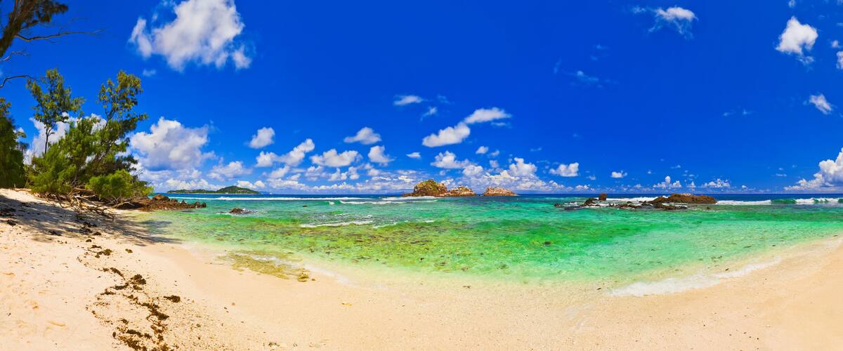 A beach with clear turquoise water, sandy shore, and scattered trees.