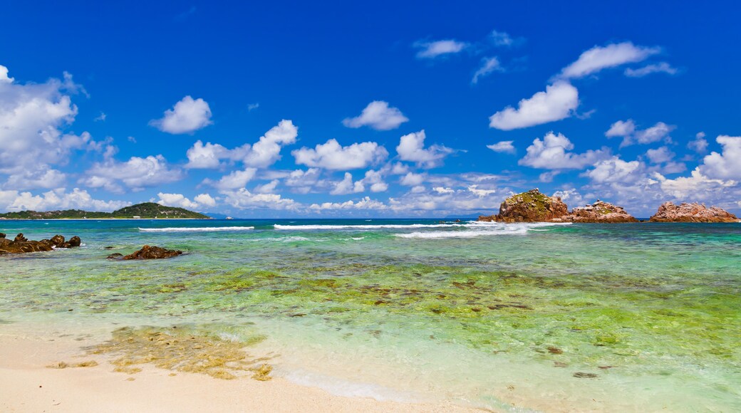 Tropical beach at Seychelles